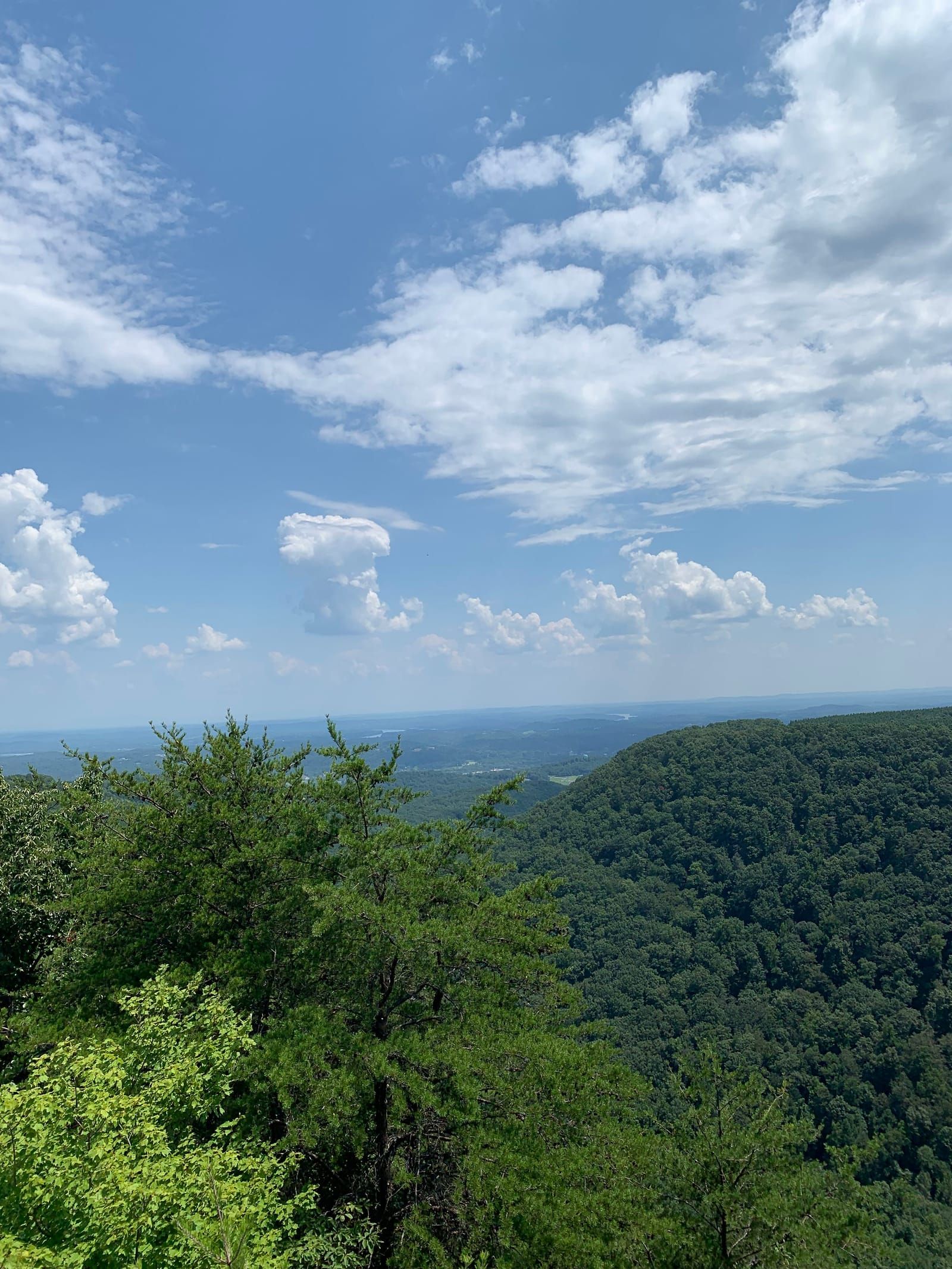 A photo of the valley below from the top of Buzzard Point.