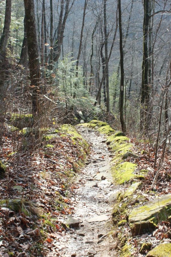 Hiking Laurel-Snow