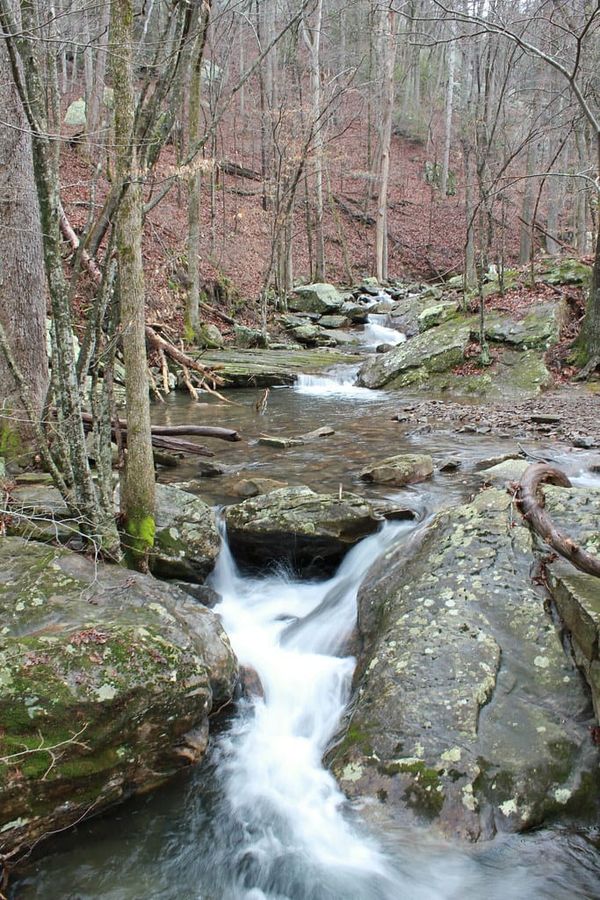 Hiking Laurel-Snow