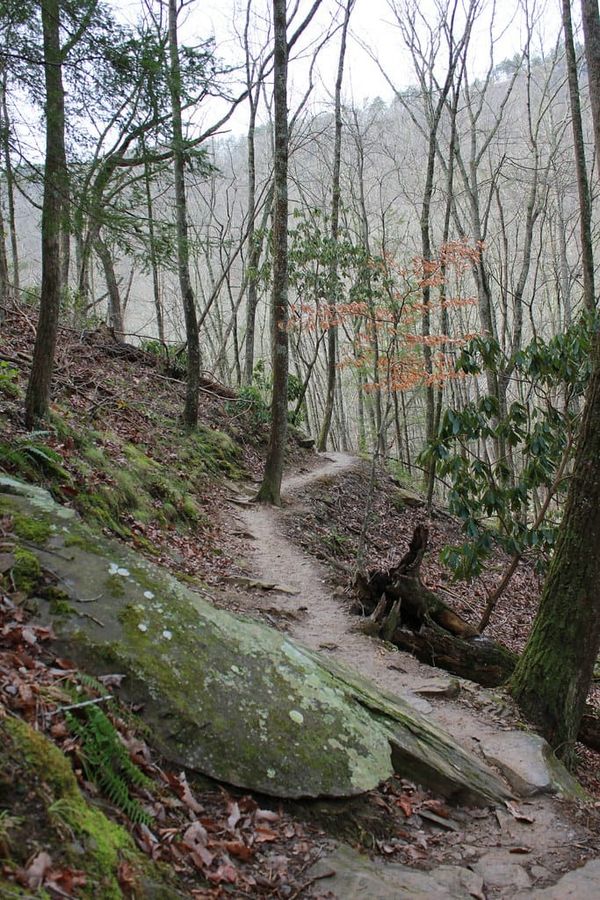 Hiking Laurel-Snow