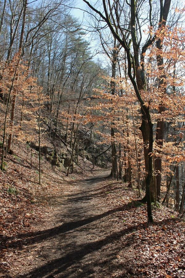 Hiking Laurel-Snow