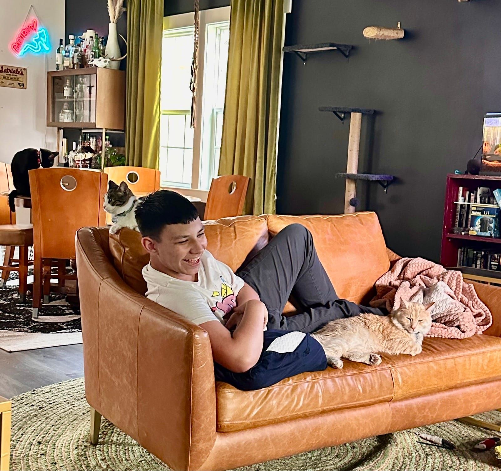 Mac lounging on the couch with a family member