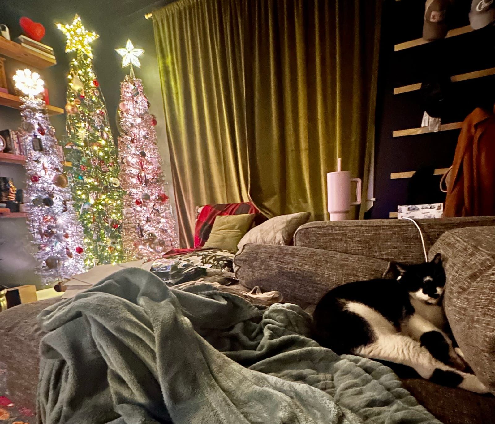 Oliver the tuxedo cat.