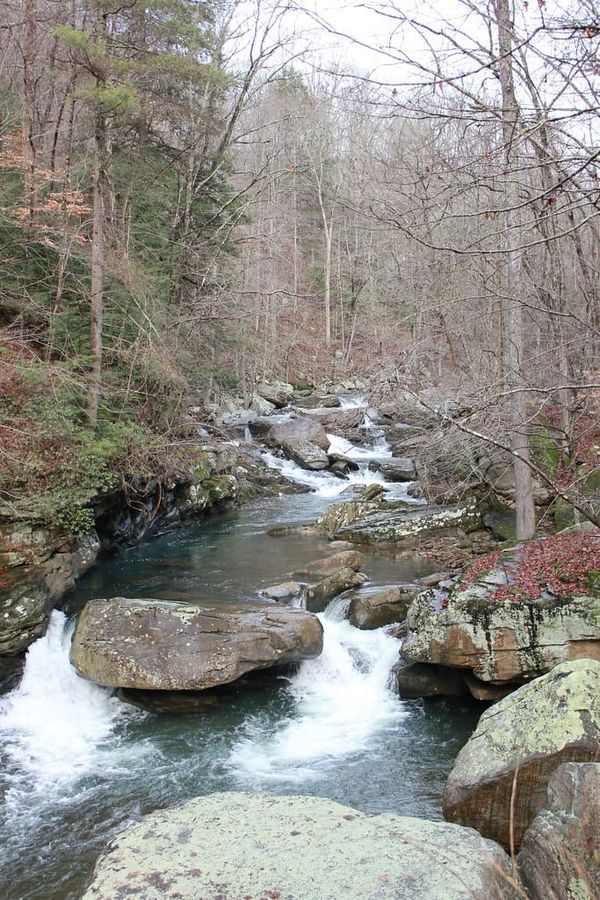 Hiking Laurel-Snow