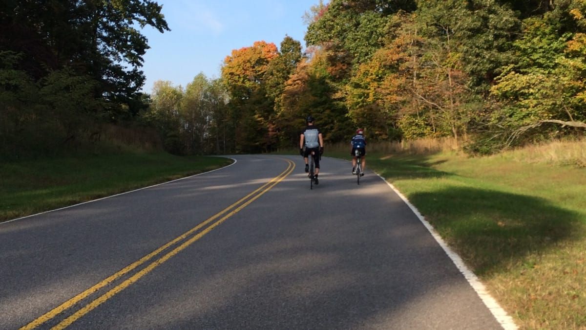 Two other cyclists just ahead on the road, on a slight incline.