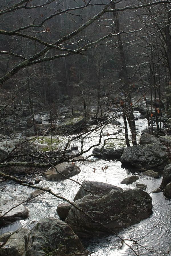 Hiking Laurel-Snow