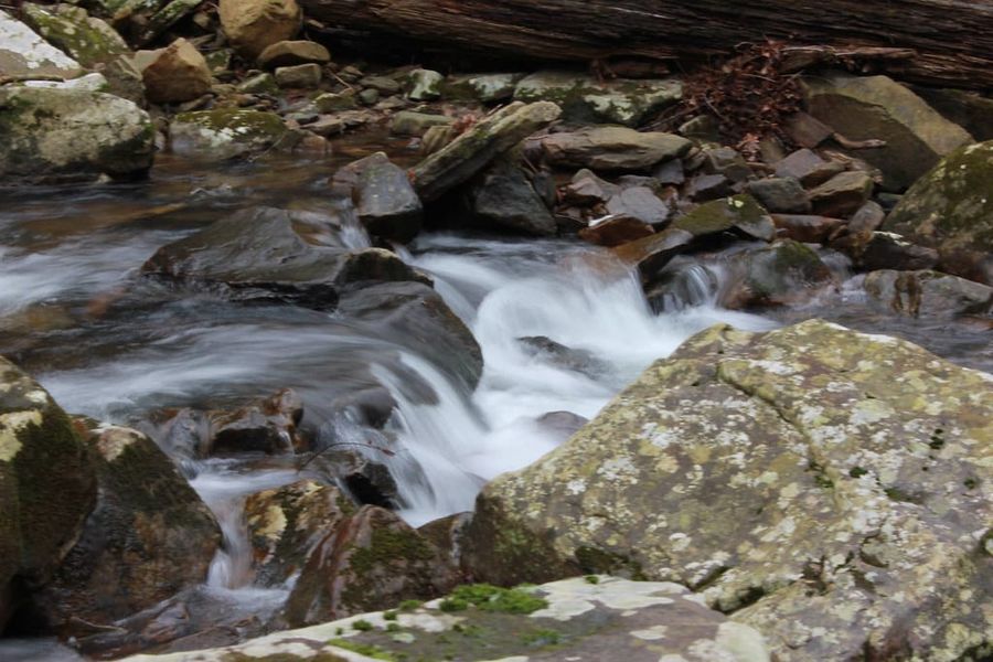Hiking Laurel-Snow