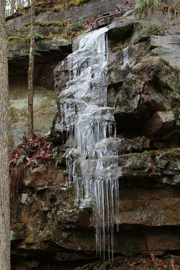 Hiking Laurel-Snow
