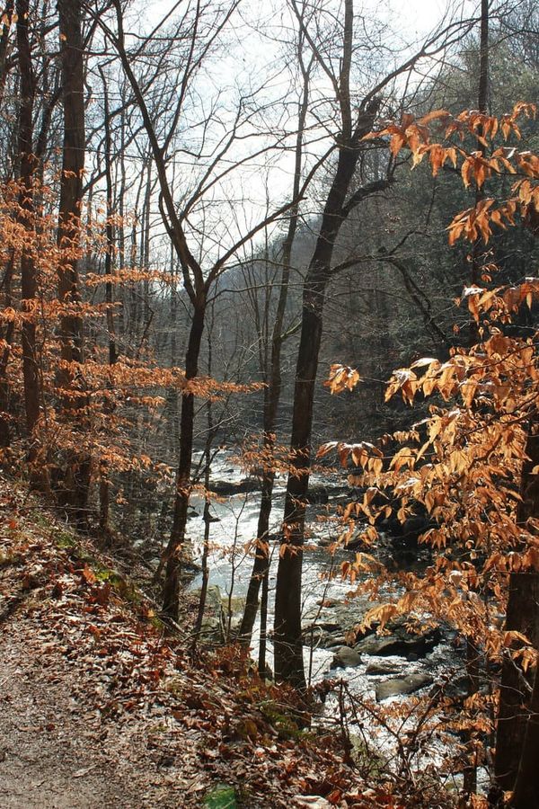 Hiking Laurel-Snow