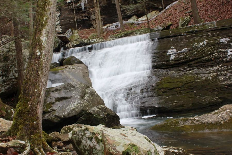 Hiking Laurel-Snow