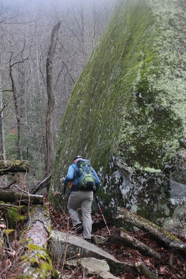 Hiking Laurel-Snow