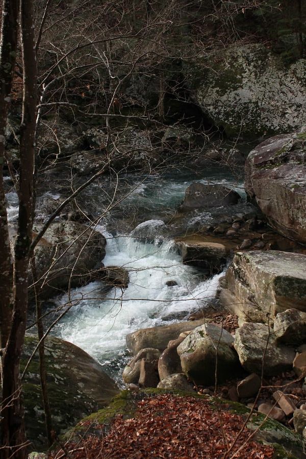 Hiking Laurel-Snow