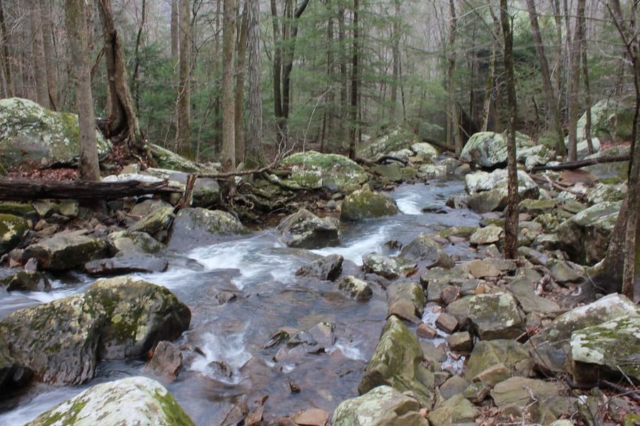 Hiking Laurel-Snow