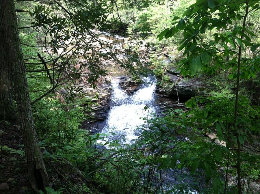 2012-07-21 at 09.46.12