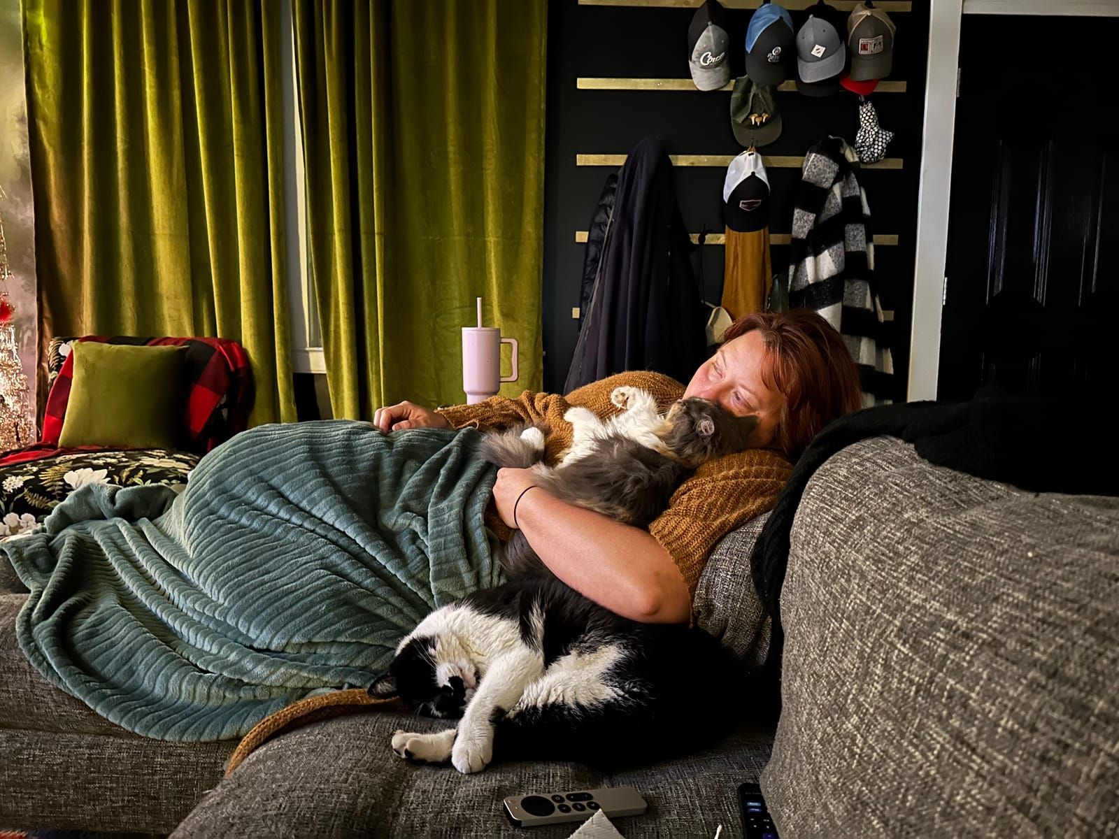 Oliver the tuxedo cat.