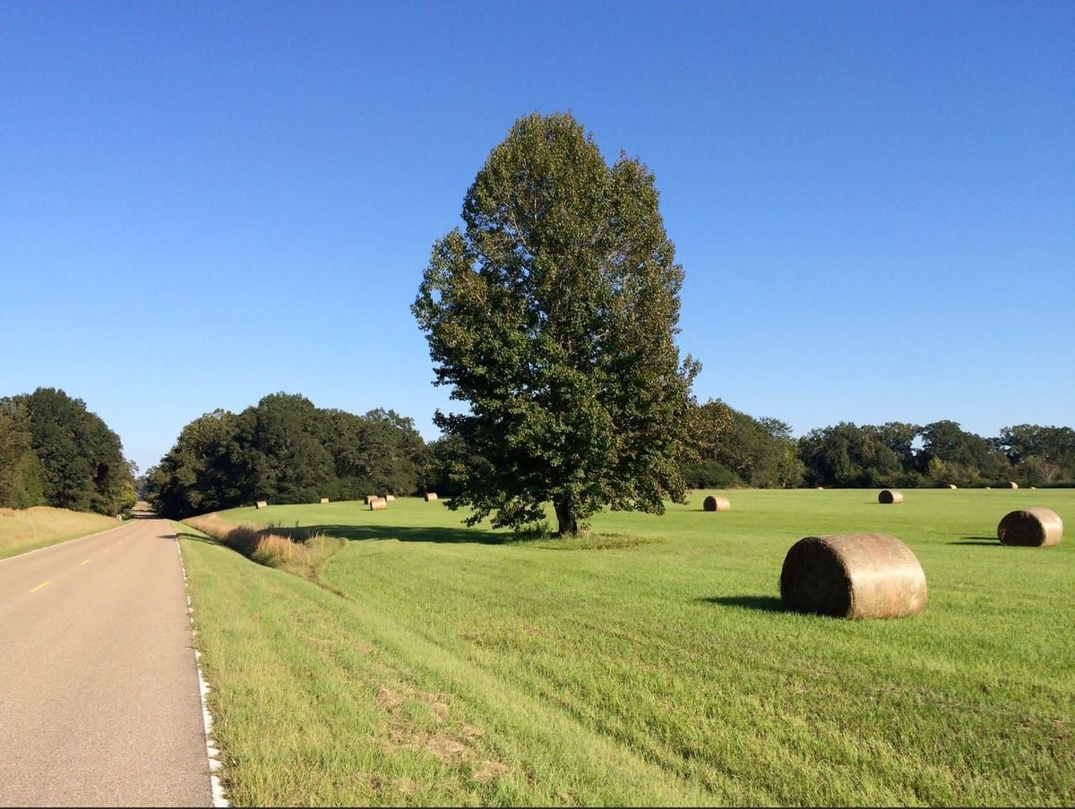Bright sunny day, bright blue sky, picture in a hay field with large hay bales.