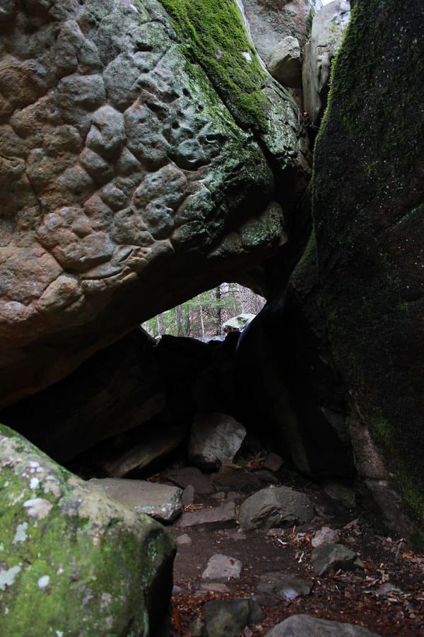 Hiking Laurel-Snow