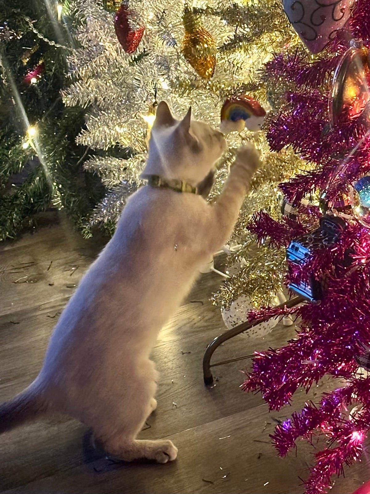 A white cat stands on hind legs reaching up toward festive Christmas decorations, including shimmering gold and purple tinsel garland and ornaments on a wooden floor.