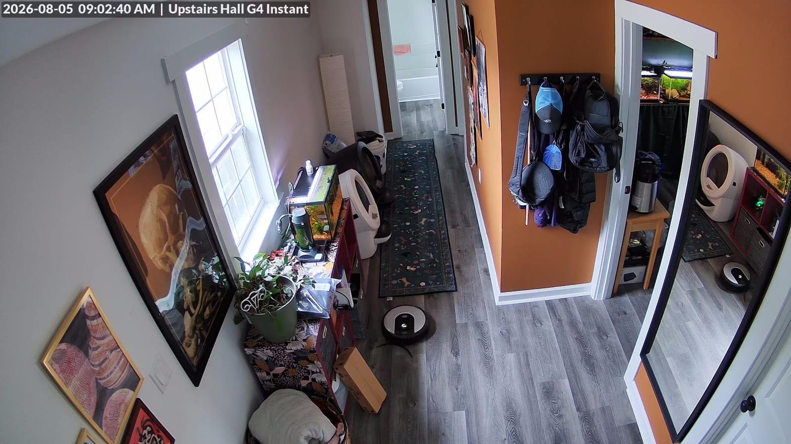A security camera view of the upstairs hall: a white litter robot beside a low shelf holding a planted aquarium, framed artwork on the wall behind it, and a Roomba is on the wood floor mid-hall. Timestamped August 5, 2026 at 9:02 a.m.