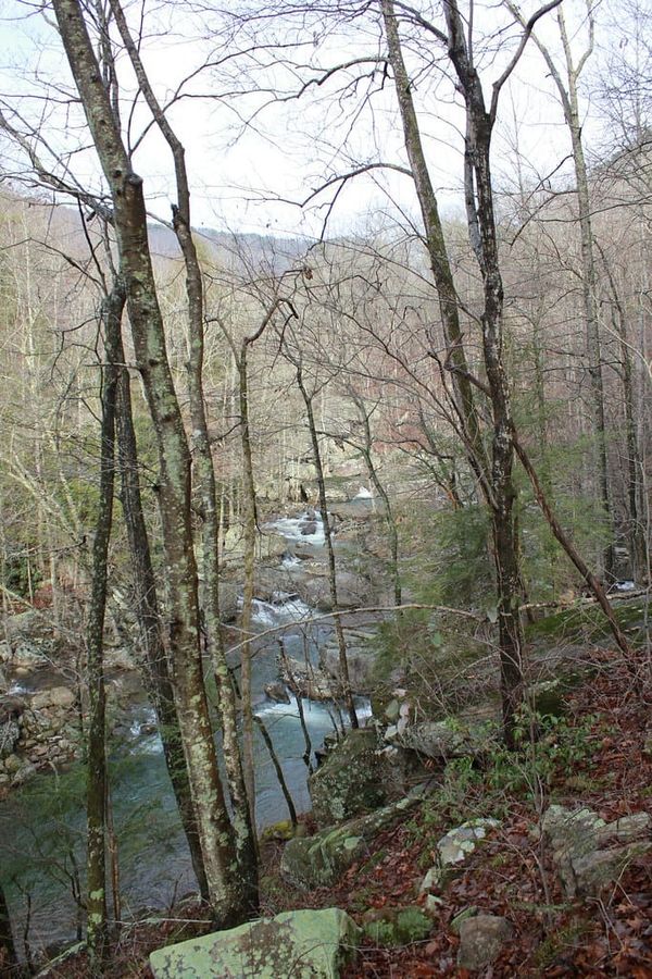 Hiking Laurel-Snow