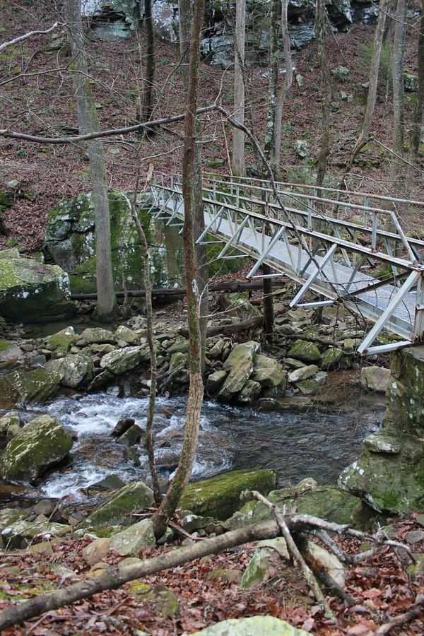 Hiking Laurel-Snow