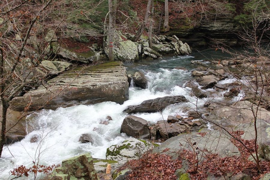 Hiking Laurel-Snow