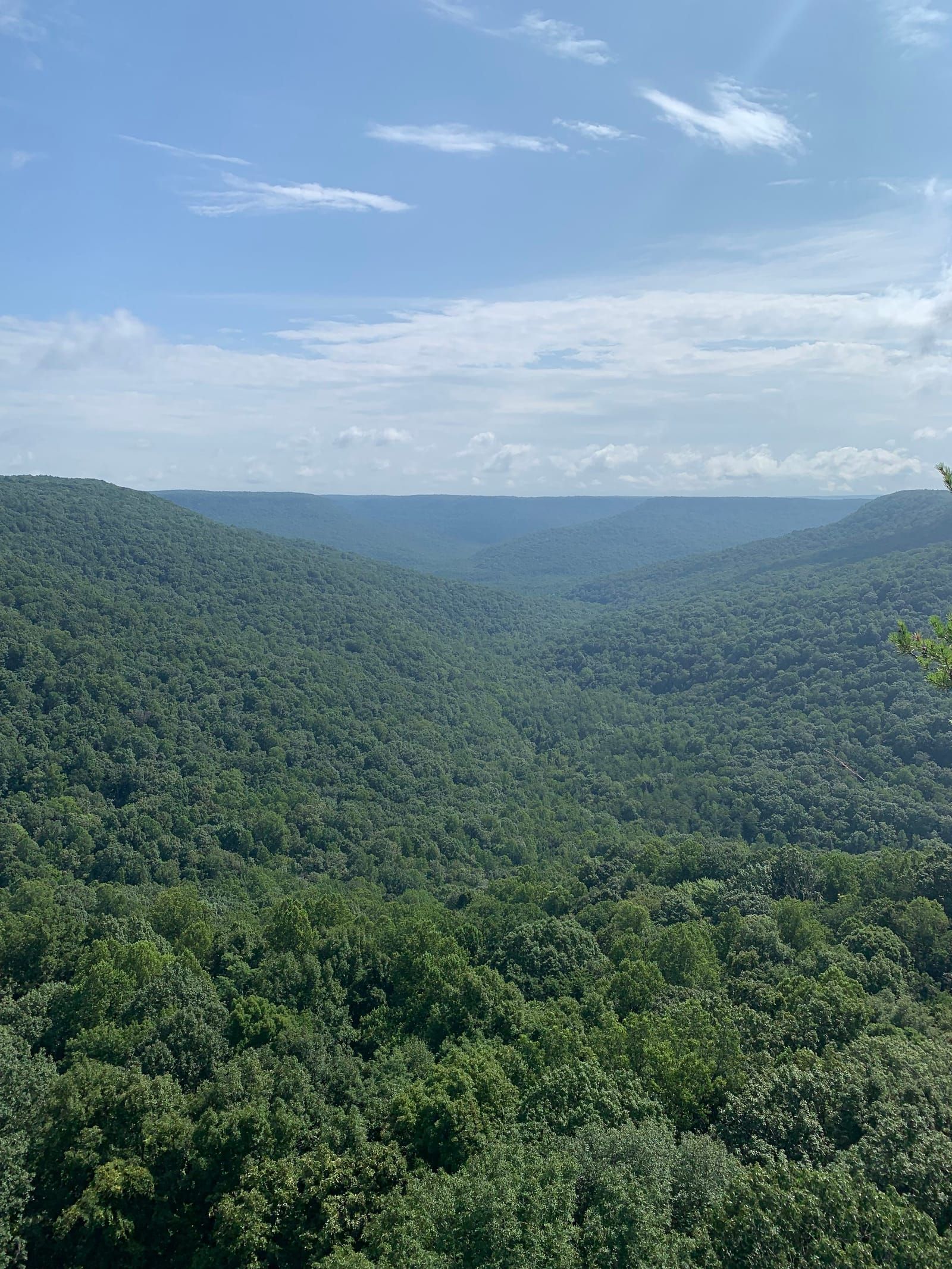 A photo from the top of the bluffs of the valley floor below.