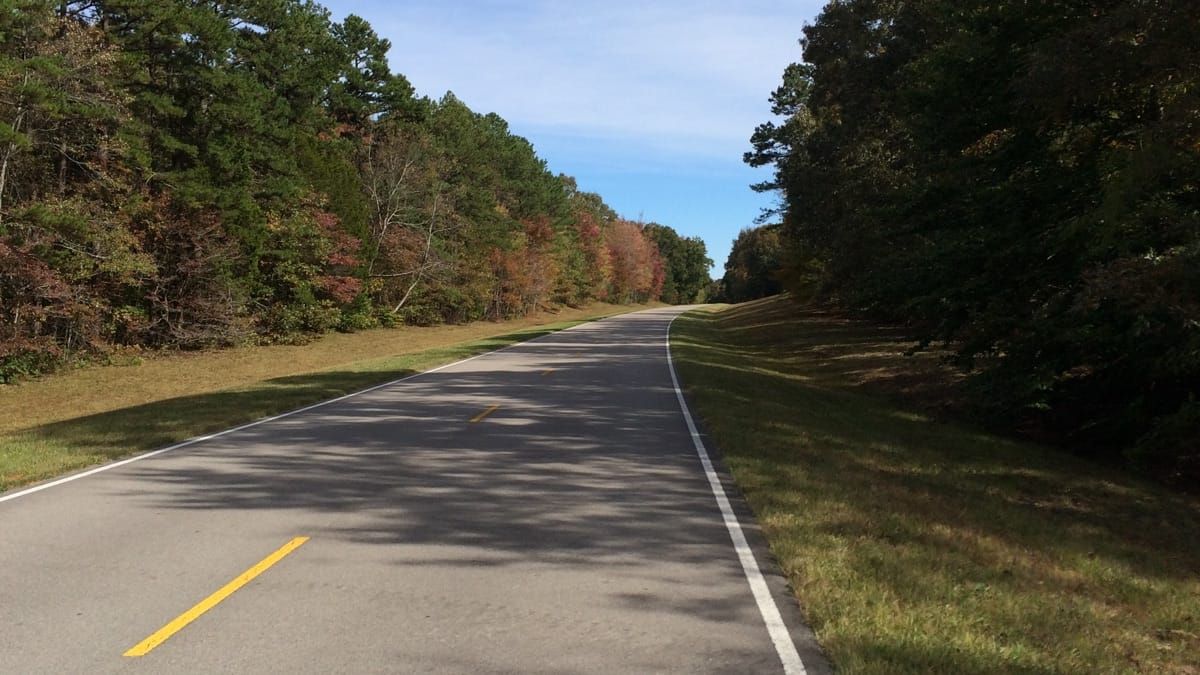 Natchez trace goes into the distance.