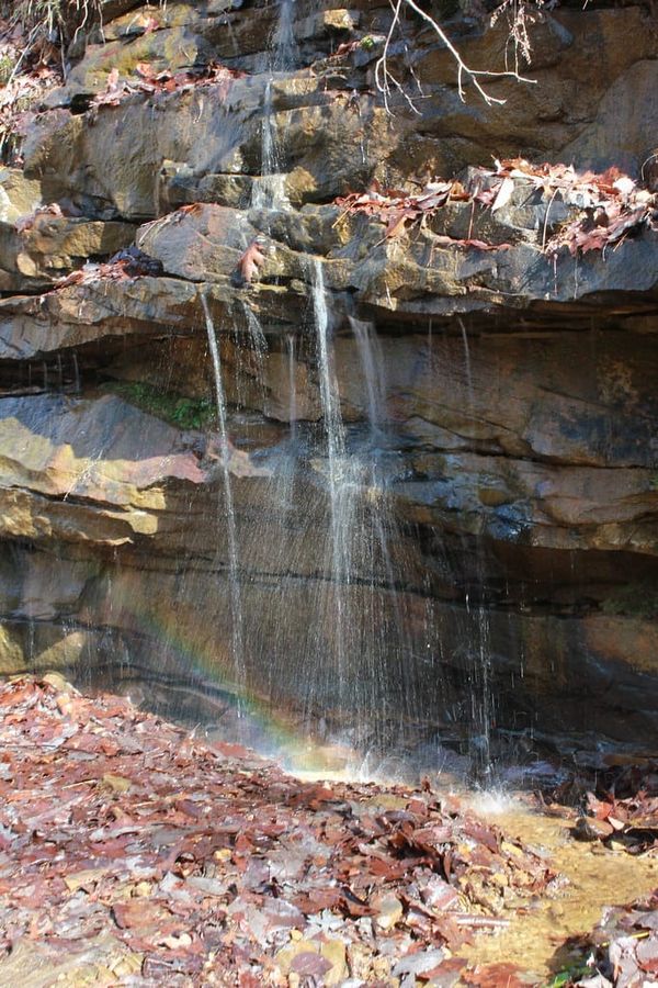 Hiking Laurel-Snow