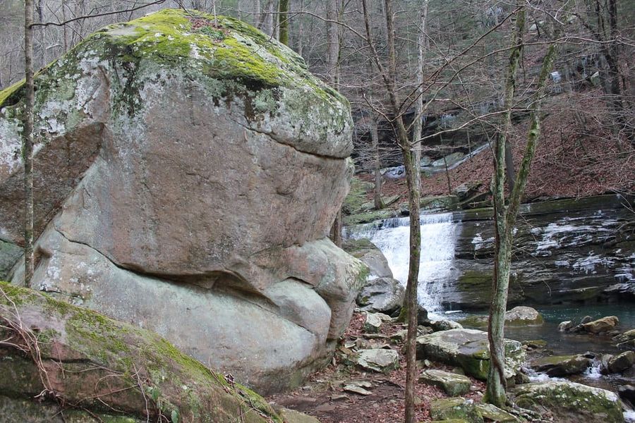 Hiking Laurel-Snow