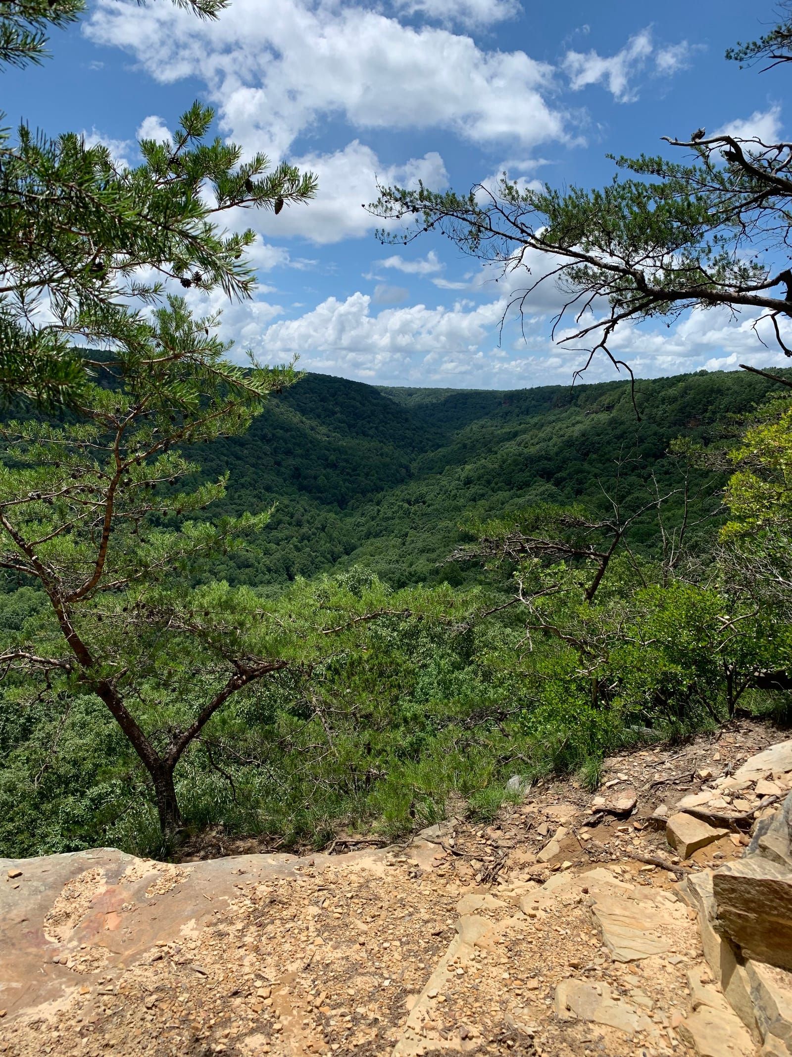 A view of the valley below from the top of the bluffs.