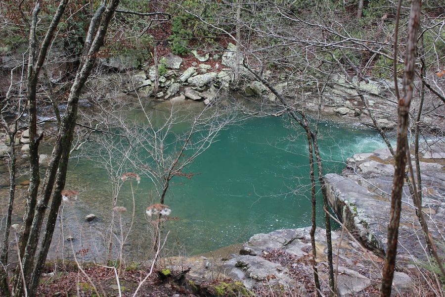 Hiking Laurel-Snow