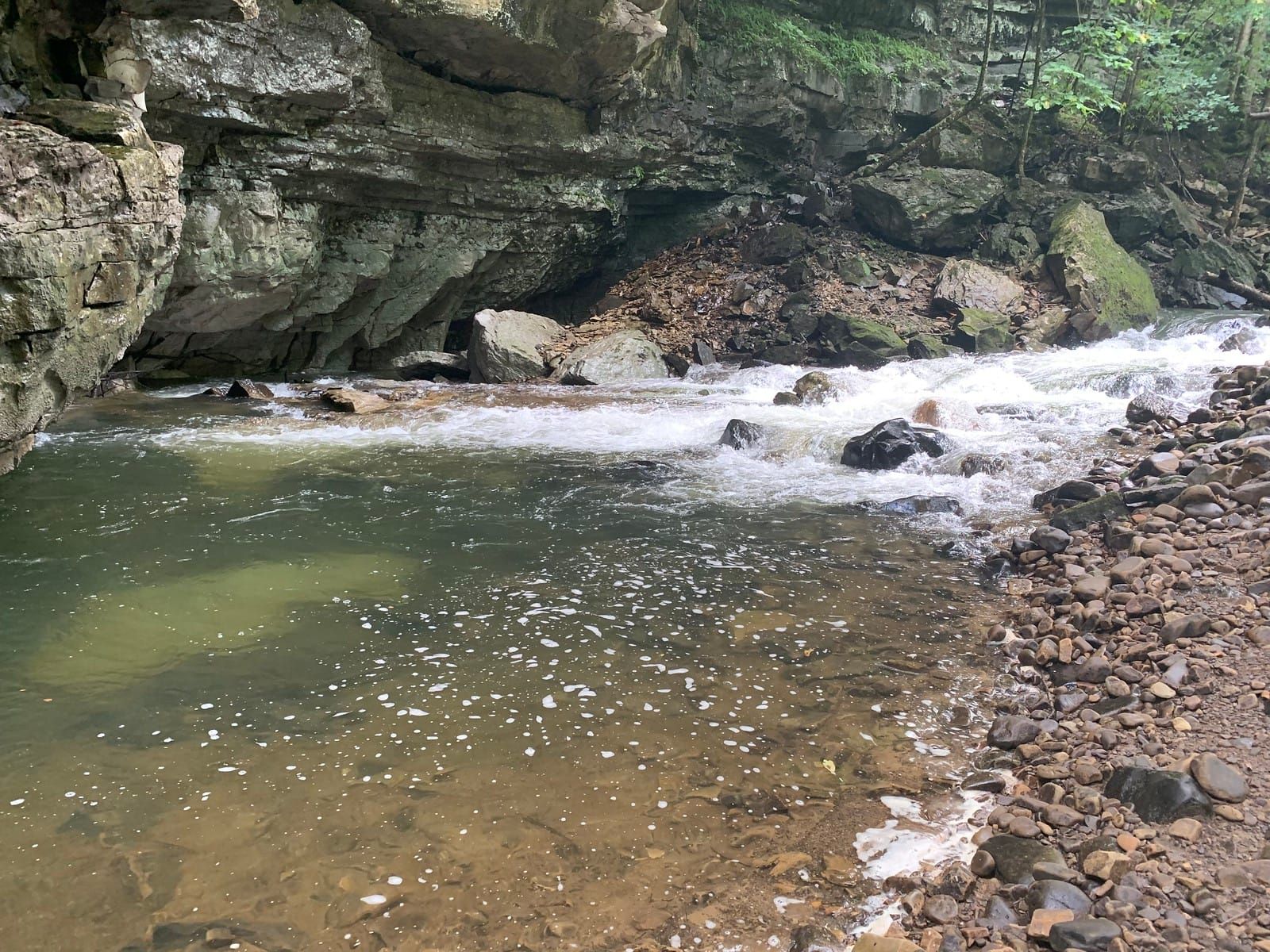 A small river with rocky shores.
