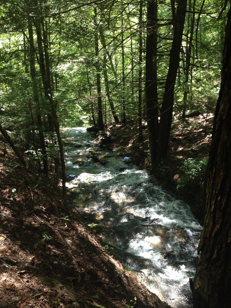 IMG_0617