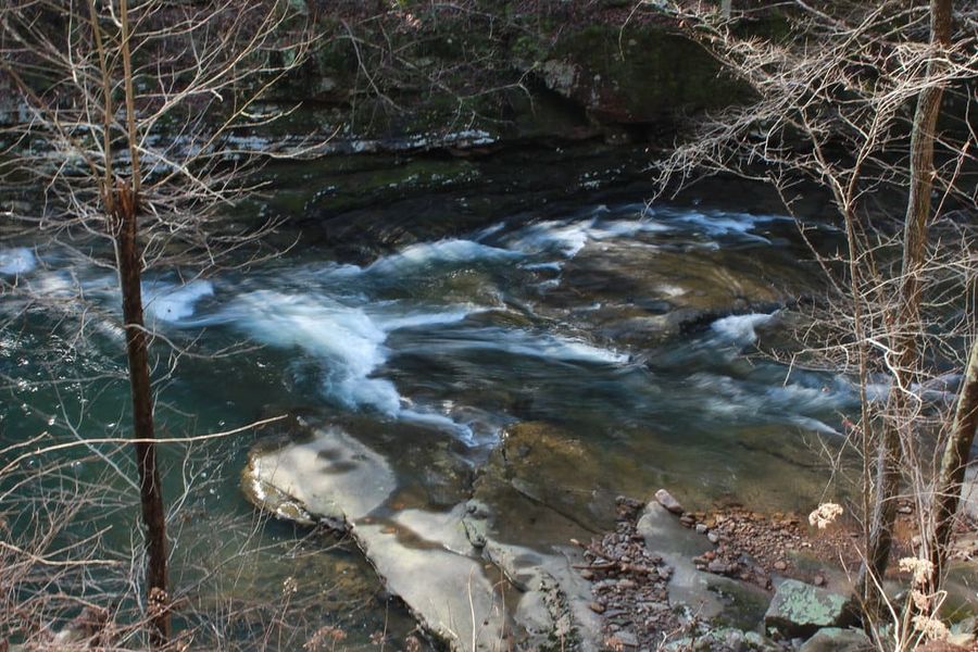 Hiking Laurel-Snow