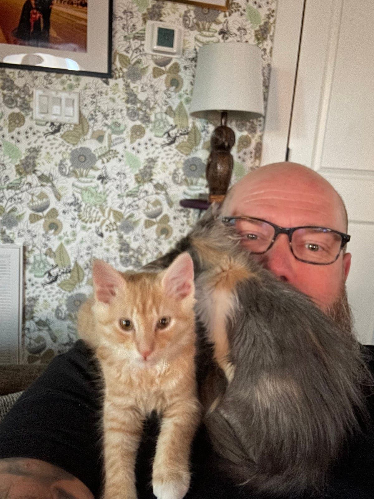 Selfie with kitten Mac perched on a shoulder