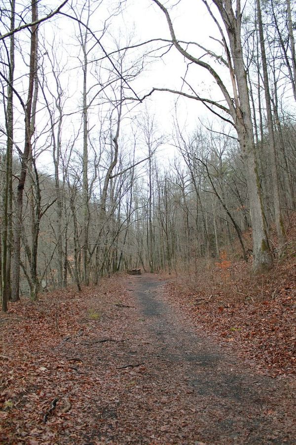 Hiking Laurel-Snow