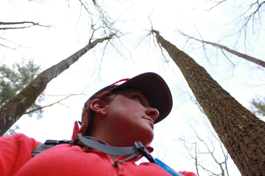 Hiking Laurel-Snow