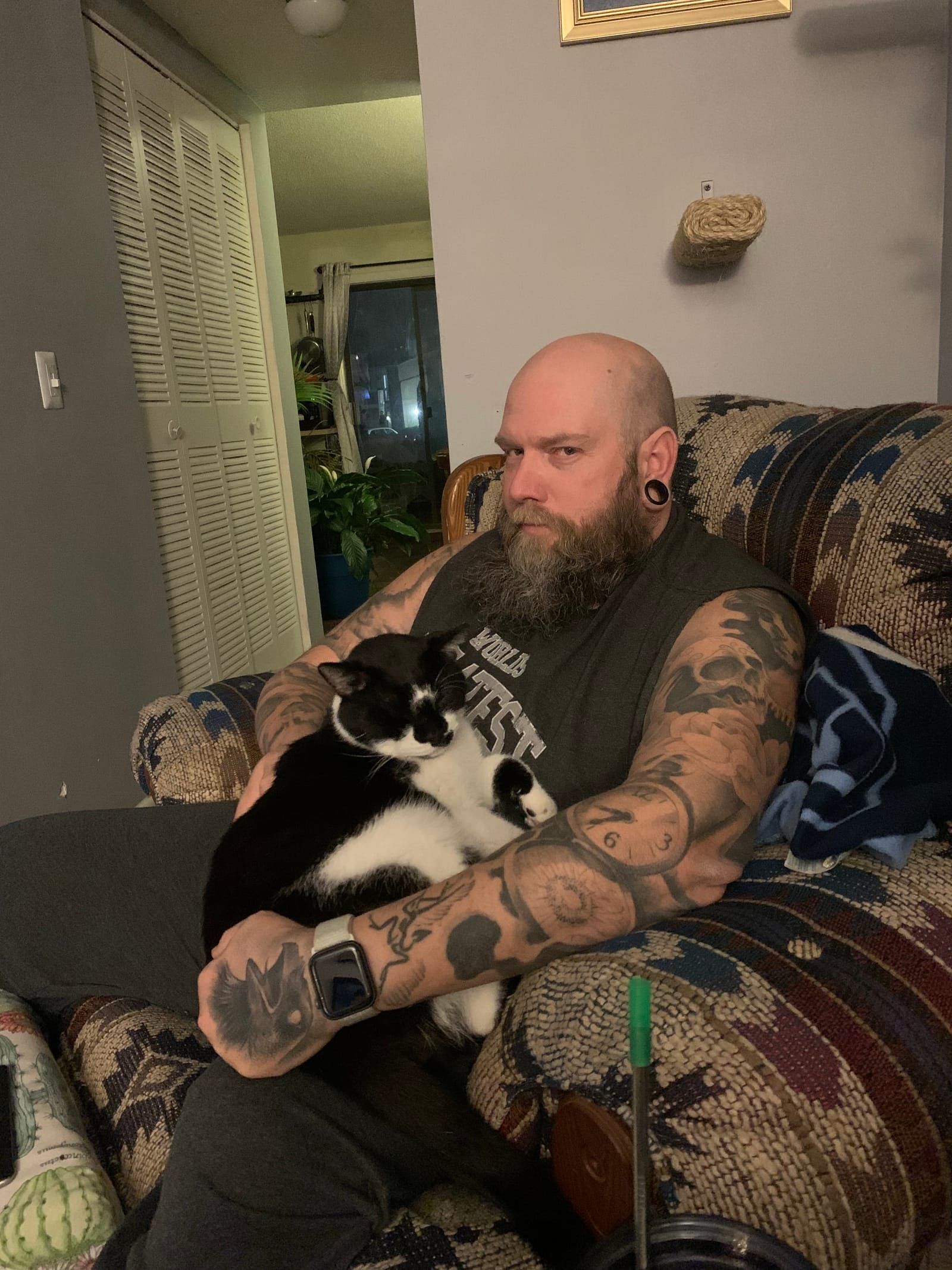 Oliver the tuxedo cat.