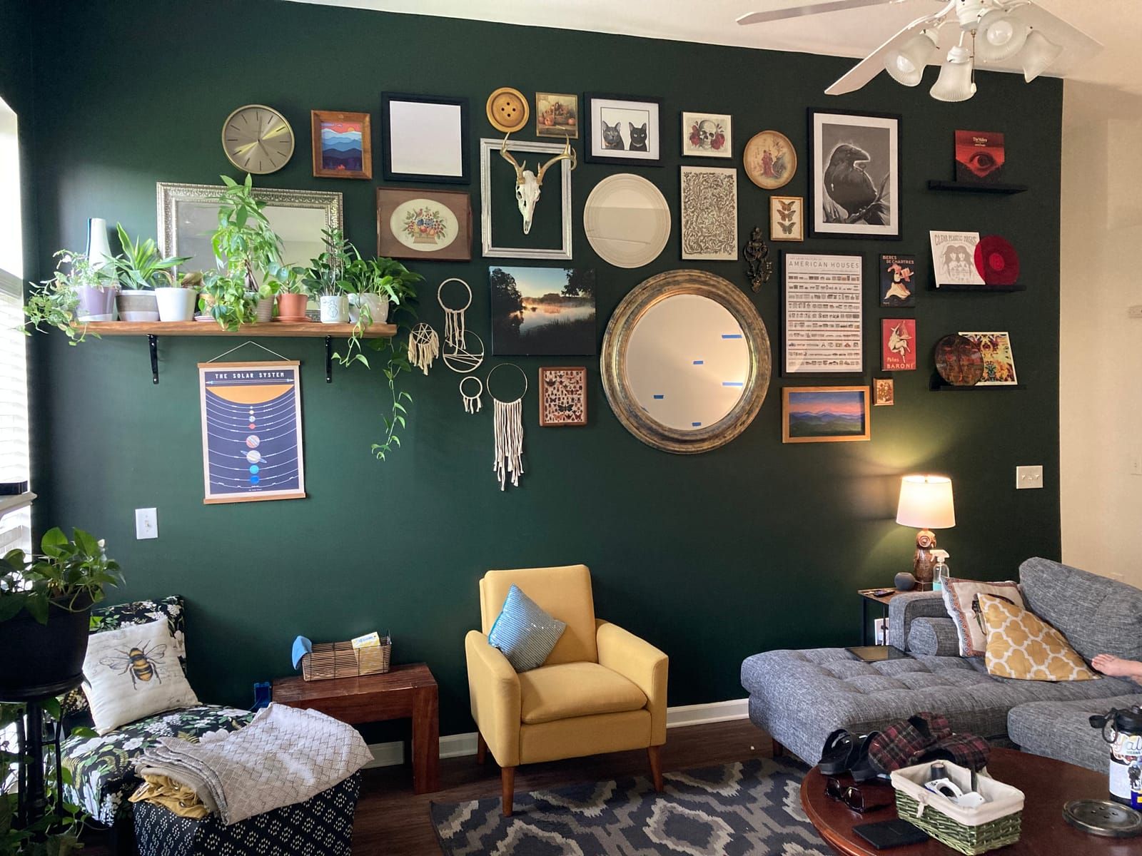 Rachelles finished gallery wall. An eclectic mix of photos on a dark green wall and a plant self.