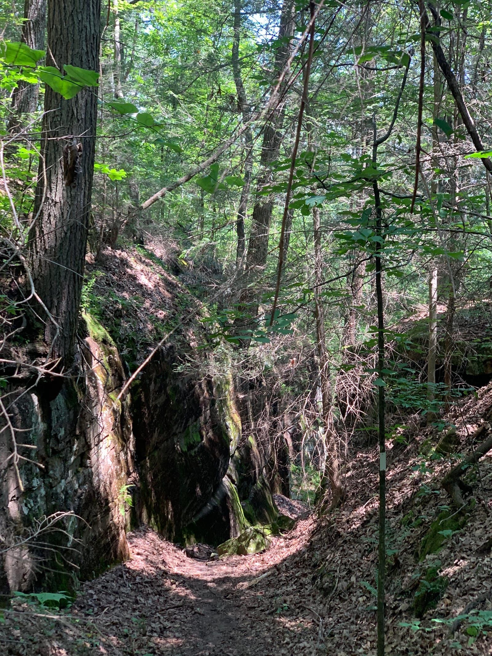 A view of the trail from the top of Rogers Road Climb. Trail goes between two large cliff faces.