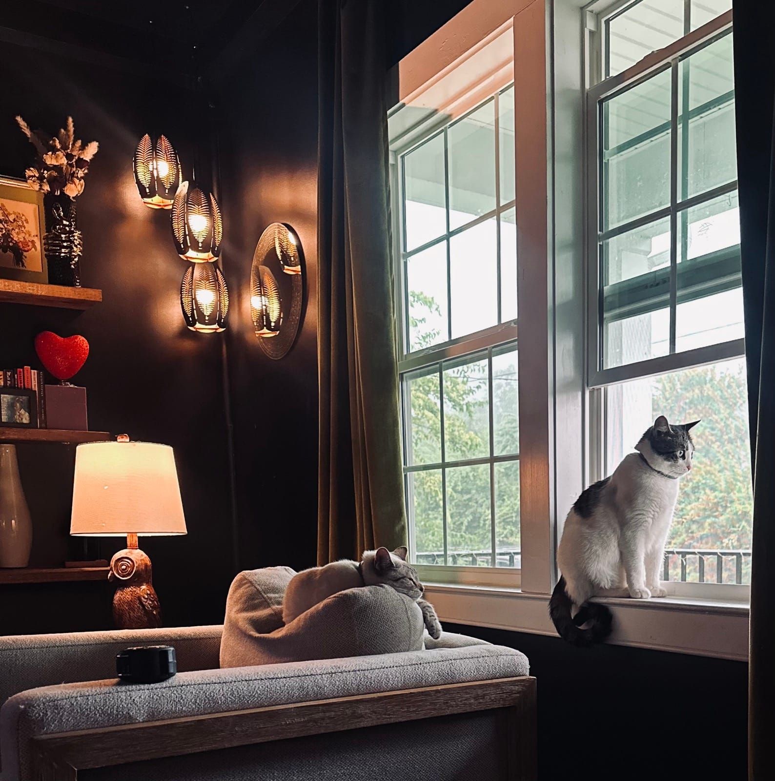 A luxurious dark interior room features elegant brass pendant lights and a decorative lamp on floating shelves, with a gray sofa in the foreground. A black and white cat sits on the windowsill of large grid-patterned windows overlooking a forested landscape.