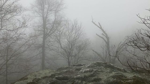 Fog shrouded view from the top of Black Mountain