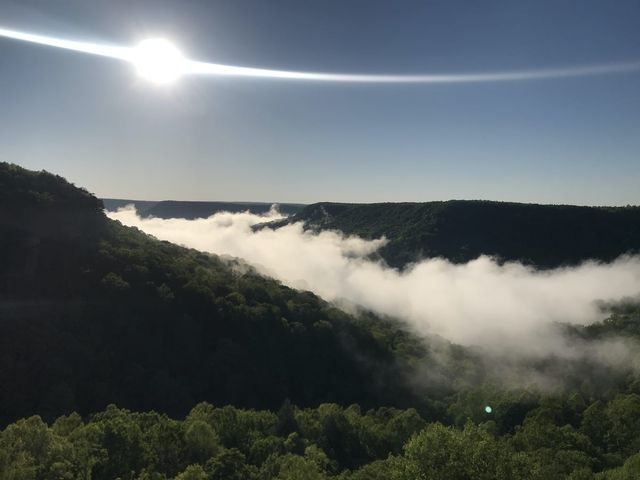 Wooded valley, shrouded in clouds and sun shining brightly from above. Morning.