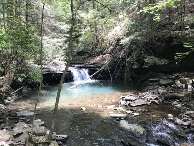 A pool and water fall.