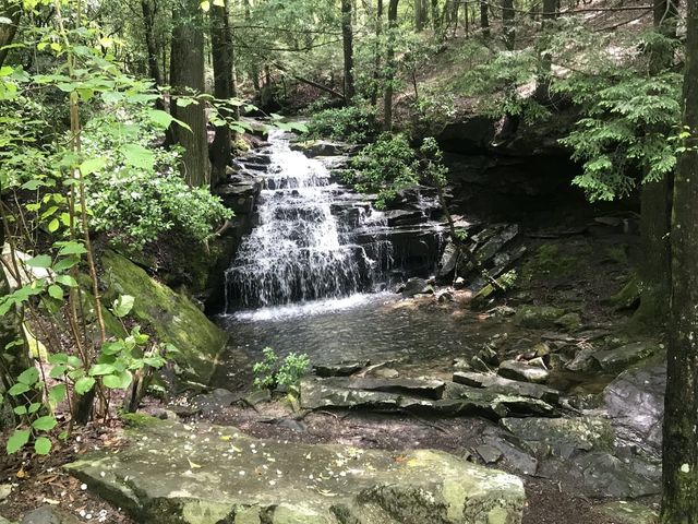 Small waterfall draining into a pool.