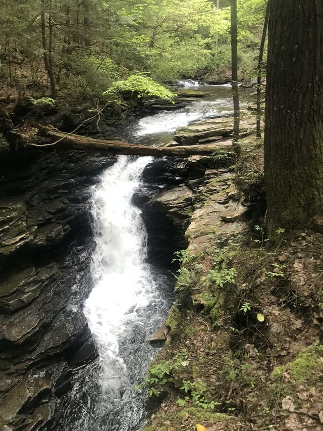 Small waterfall rapid.